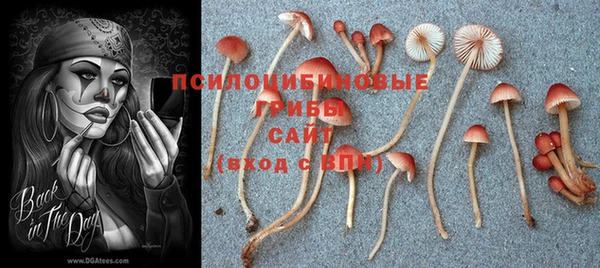 крисы Снежинск