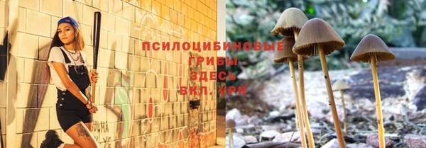 ALPHA-PVP Снежногорск